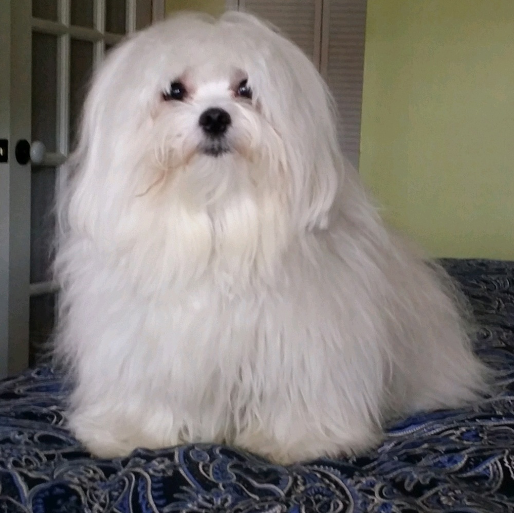 Meet your Posher, Marisol